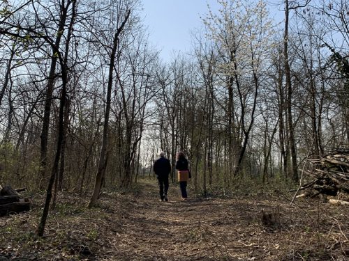 bosco_04